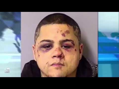 Justin Gaethje beats up a mugger