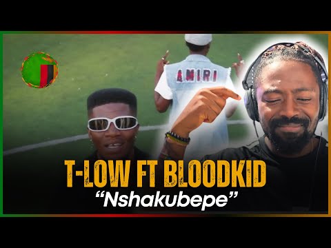 🚨🇿🇲 | T-Low and Bloodkid DROP A BANGER? T-Low feat Bloodkid (Y.v.o.k) - Nshakubepe | Reaction
