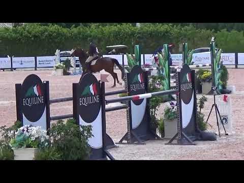 Caja, Jumper for sale, 1.30m WEF 12 2018 SOLD