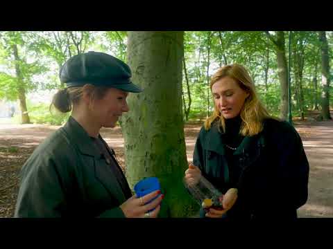 Nina Persson from The Cardigans reveals her happy place in Malmö.