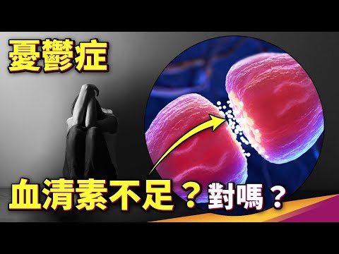 最新研究不支持憂鬱症主因是血清素失衡引起？抗憂鬱藥物之外的治療選擇【會員選題】