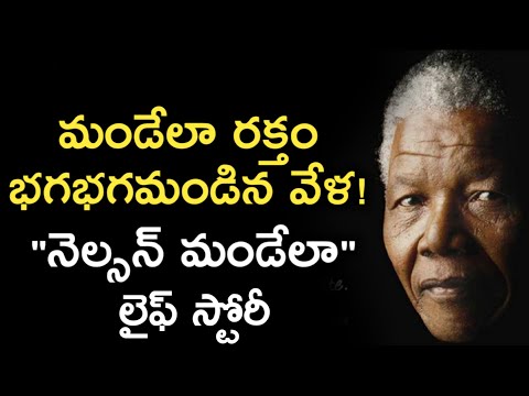 Nelson Mandela Life Story in Telugu | నెల్సన్ మండేలా బయోగ్రఫీ | News6G