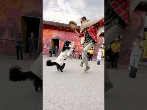 Coqueta en Arcabuco con folclore de @Heredero @jessiuribe3  #carranga #baile #dog #coqueta