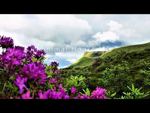 Tales Of Us, Kollektiv Turmstrasse & Co • Minimal House Mix • by RiSoulRebel