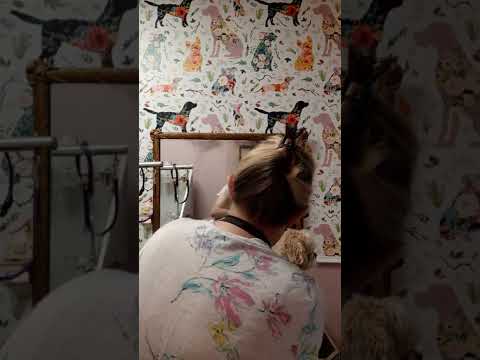 Stella is such a sweet girl to groom