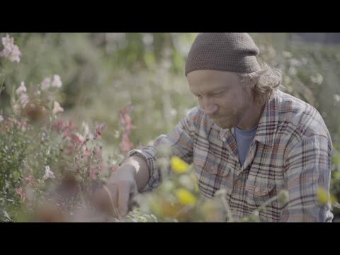 Daryl Chonka - "Wake Up"  [Official Music Video]