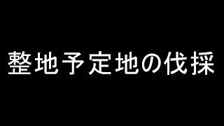 Seroのマインクラフト実況プレイPART246　整地予定地を伐採します！