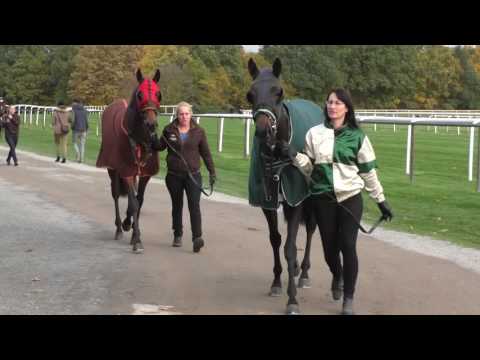 Reitsport Magazin Leserausflug auf die Neue Bult