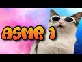 Crunchycat Eats Crunchy Things 1 Cat ASMR
