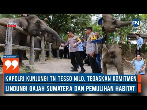 Kapolri Kunjungi TN Tesso Nilo, Tegaskan Komitmen Lindungi Gajah Sumatera dan Pemulihan Habitat