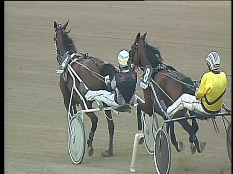 Trotto 22/06/2017 - 4ª corsa