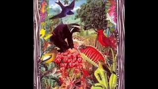 The Birdtree - Everyone Of Us A New Leaf