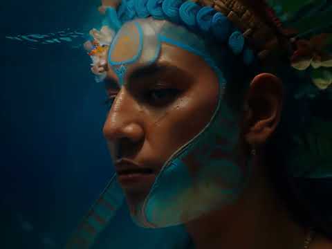 The Mayan Factor Warflower  (Official)  Overdub Records. 2024