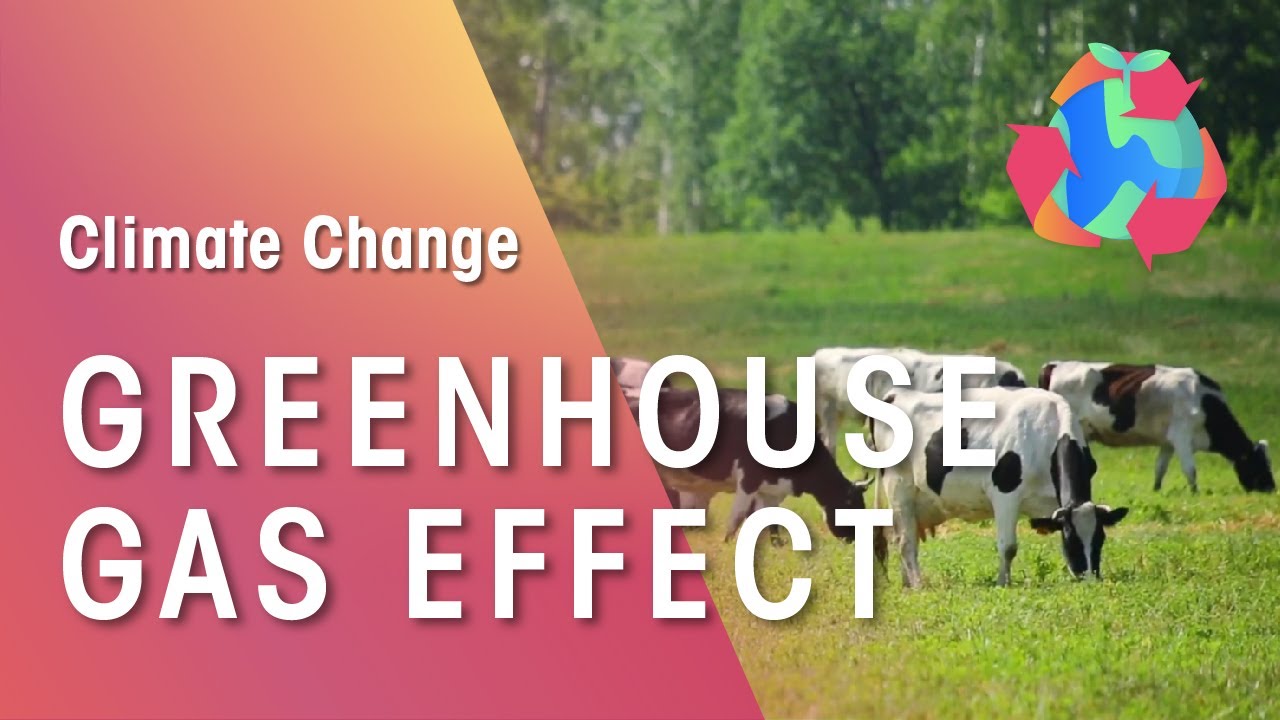 The Science of Greenhouse Gas🔬: Causes and Effects | FuseSchool