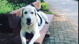 Philosophy Of Spring!