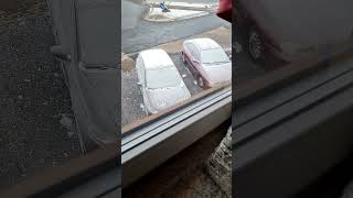 Ich will nicht kratzen #shorts #eis #frost #schnee #hobbygärtnerflo