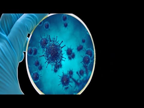 Mini Pulsed Electric Field Device for Water Disinfection