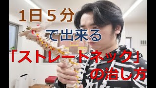 1日5分で充分！自分で出来るストレートネックの治し方。飯田橋・OTA整体院