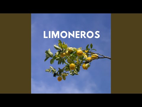 Limoneros - Borneo