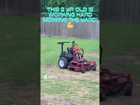 #youtubeshorts #shorts #toddlers #kids  #marki #cute