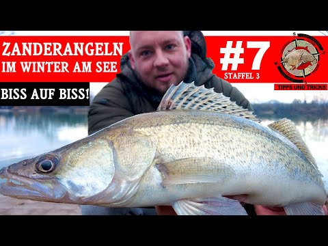 Zanderangeln im Winter am See |spinnfischen,köderfisch,fluss,ufer,pose,gummifisch,tipps,tricks(2022)