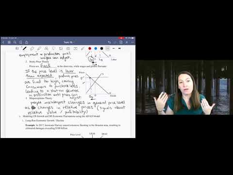 13.17 Misperceptions Theory