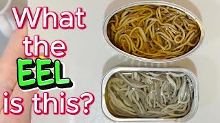 Canned "EEL"......or is it???