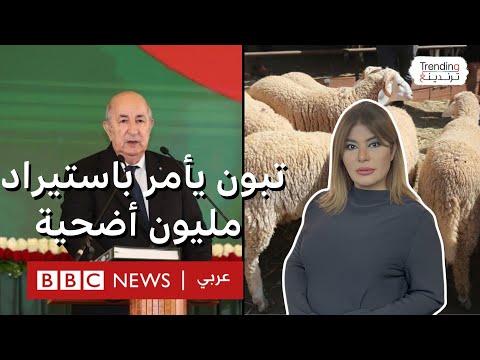 فيديو | تبون يأمر باستيراد مليون رأس ماشية استعداداً لعيد الأضحى.. ما رأيكم؟