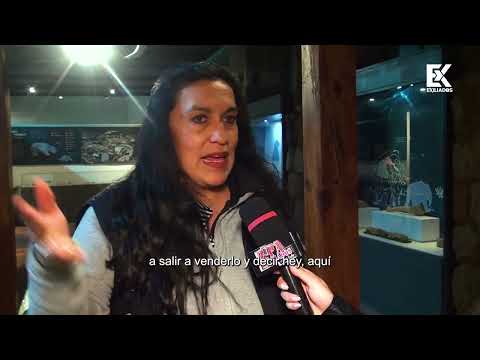 🔴 ¿Vamos a ver estrellas mi reina? ✨ ¡Nemocón se enciende bajo las estrellas! ✨