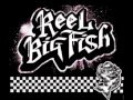 Kiss Me Deadly- Reel Big Fish (Live acoustic set)