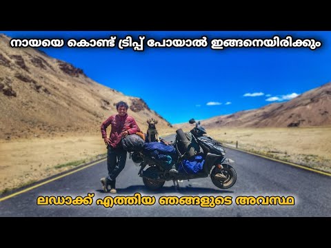 നായയെ കൊണ്ട് Trip പോയാൽ ഉള്ള അവസ്ഥ😒Reached Leh | EP 194
