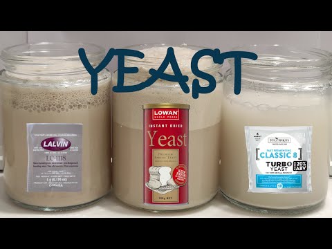 Price and bloom of different yeasts for food and alcohol