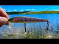 Video Thumbnail for BEST Jerk Bait Shallow Water Aggressive Northern Pike!