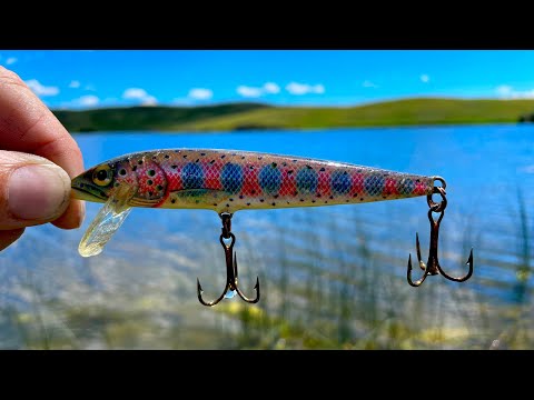 BEST Jerk Bait Shallow Water Aggressive Northern Pike!