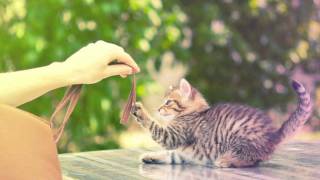 Mew - Vaccine (Eskmo Remix) [FREE DOWNLOAD]