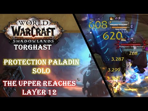 TORGHAST Layer 12 - The Upper Reaches Walkthrough Guide - Prot Paladin POV Solo - WOW Shadowlands