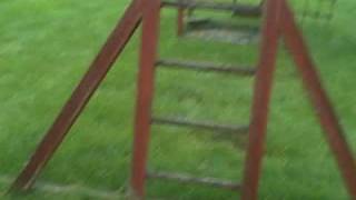 In the rain with Ringo