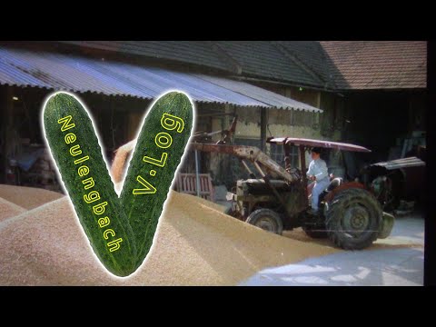 #NeulengbachVLog 2021-11-27 | Tauwetter und Restlessen | CV-00623