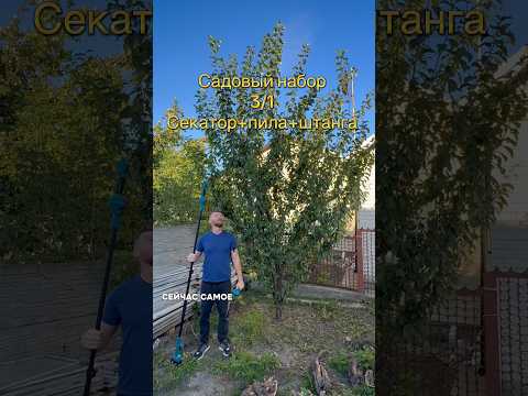 фото секатор пила аккумуляторные и удлинитель 0