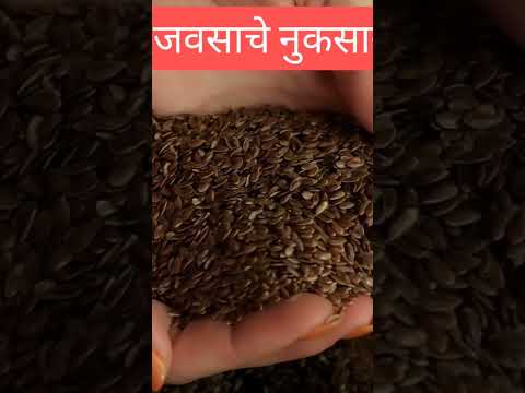 जवसाचे नुकसान!javasache nuksan!Disadvantage Of Flax Seeds-#shorts #youtubeshorts #shortvideo #short