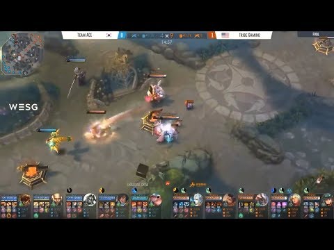 Gabevizzle San Feng Play That Made TRIBE WESG Champion