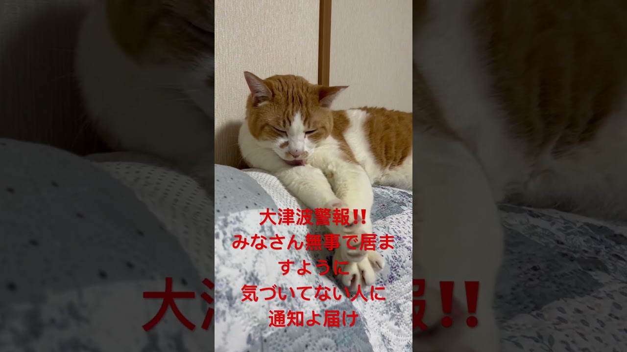 ‼️石川県で大津波警報‼️ #津波警報 #虎徹