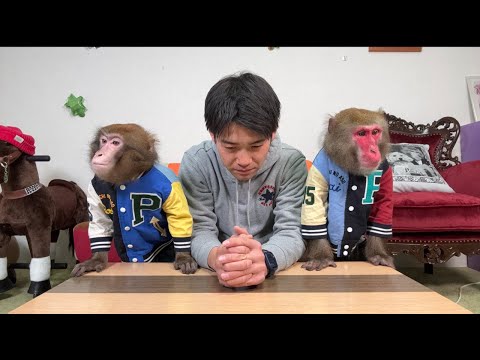 【緊急生配信】病気になりました。そしてお猿さんたちに謝罪。