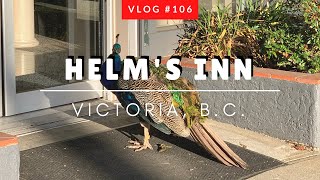 Where to stay in Victoria?|Helm's Inn B.C.|What you should know about Helm’s Inn