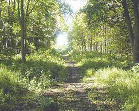 1.06.2008, Borin jubilej