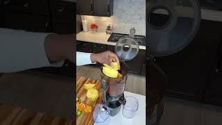 Download lagu Parasite Cleanse Juice #papaya #fruit #healing #detox mp3