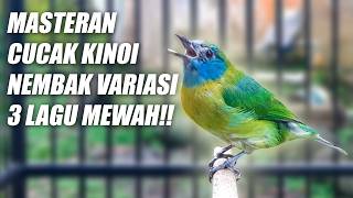 Download lagu NEMBAK VARIASI 3 LAGU!! MASTERAN CUCAK KINOI GACOR FULL TEMBAKAN BESETAN TAJAM SPEED RAPAT PANJANG mp3