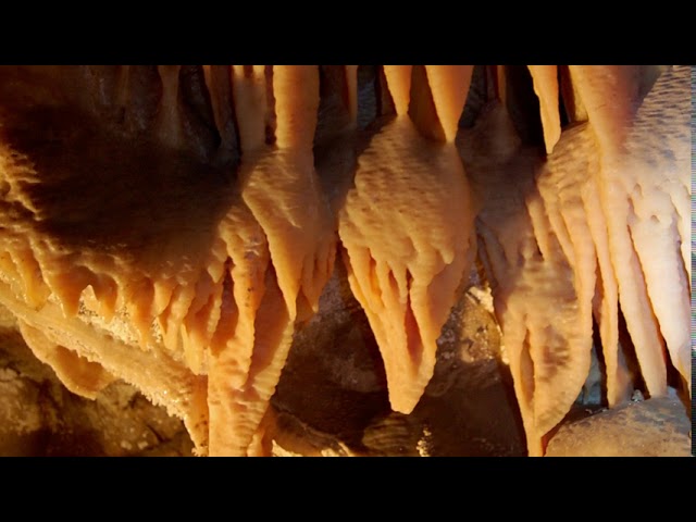 youtube video id=xmM1d8KWJP0