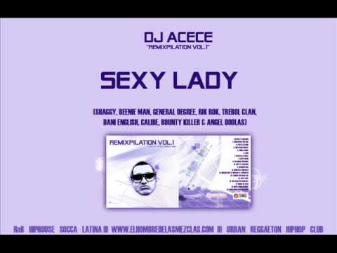 SEXY LADY RIDDIM MEGAMIX 2010! FT. SHAGGY, TREBOL CLAN, BOUNTY KILLER....