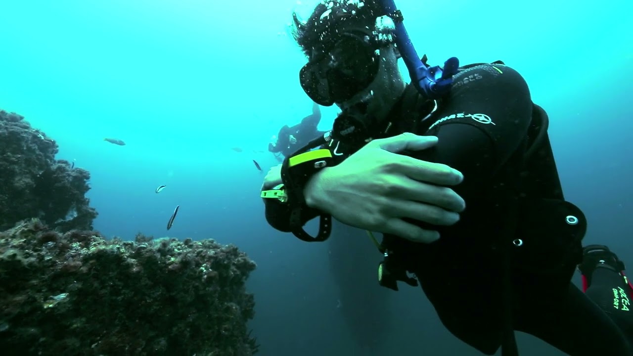 An adventurer experiences diving at Wonder Reef.